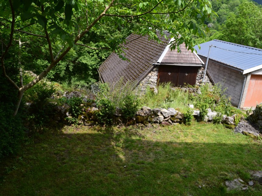 Coin de détente sous le noyer