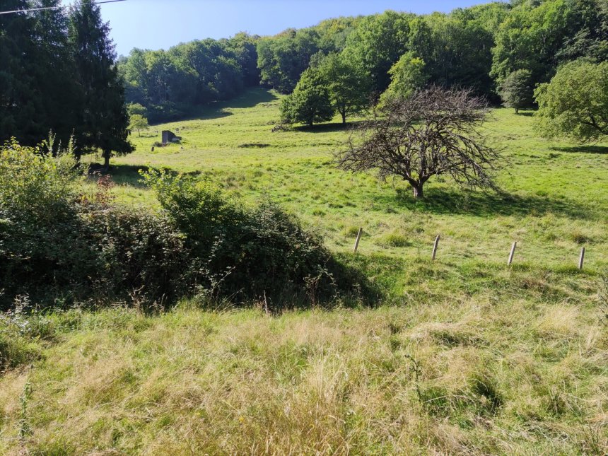 Aire de Brame du CERF au dessus du parking du hameau de laubague