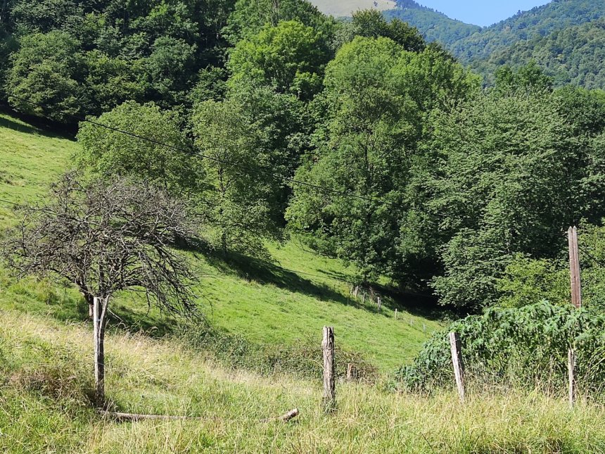 La vue du Cagire en entrant dans le hameau de Laubague